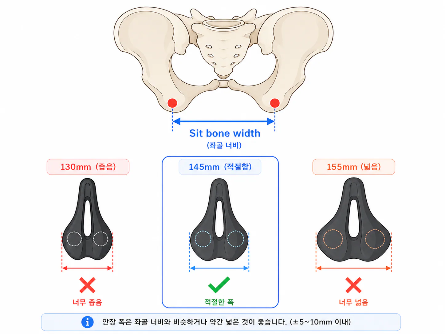 좌골 너비와 안장 폭 비교 — 130mm·145mm·155mm